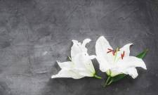 &Alpha;&pi;&rho;ί&lambda;&iota;&omicron;&sigmaf;: &Omicron; &mu;ή&nu;&alpha;&sigmaf; &pi;&omicron;&upsilon; &laquo;&lambda;&upsilon;&gamma;ί&zeta;&epsilon;&iota;&raquo; &tau;&omicron;&upsilon;&sigmaf; &delta;&eta;&mu;ά&rho;&chi;&omicron;&upsilon;&sigmaf; &tau;&eta;&sigmaf; &Sigma;&pi;ά&rho;&tau;&eta;&sigmaf;