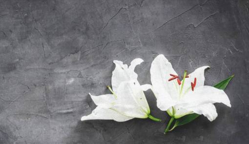 &Alpha;&pi;&rho;ί&lambda;&iota;&omicron;&sigmaf;: &Omicron; &mu;ή&nu;&alpha;&sigmaf; &pi;&omicron;&upsilon; &laquo;&lambda;&upsilon;&gamma;ί&zeta;&epsilon;&iota;&raquo; &tau;&omicron;&upsilon;&sigmaf; &delta;&eta;&mu;ά&rho;&chi;&omicron;&upsilon;&sigmaf; &tau;&eta;&sigmaf; &Sigma;&pi;ά&rho;&tau;&eta;&sigmaf;