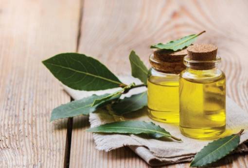 Δαφνέλαιο: Τα οφέλη για την υγεία και την ομορφιά