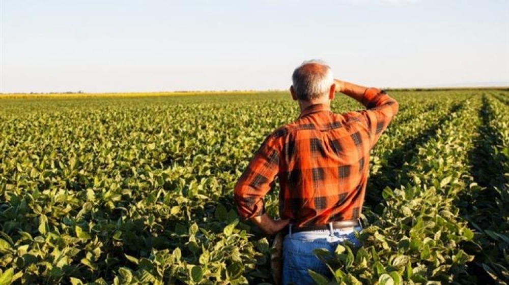 &Sigma;&tau;&iota;&sigmaf; 28 &Iota;&alpha;&nu;&omicron;&upsilon;&alpha;&rho;ί&omicron;&upsilon; &omicron;&iota; &sigma;&upsilon;&nu;&tau;ά&xi;&epsilon;&iota;&sigmaf; &alpha;&gamma;&rho;&omicron;&tau;ώ&nu; &gamma;&iota;&alpha; &tau;&omicron;&nu; &Phi;&lambda;&epsilon;&beta;ά&rho;&eta;