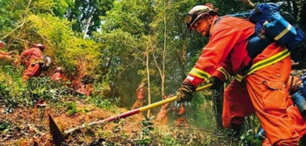 &Pi;&rho;&omicron;&sigma;&lambda;ή&psi;&epsilon;&iota;&sigmaf; &gamma;&iota;&alpha; &tau;&eta;&nu; &epsilon;&nu;ί&sigma;&chi;&upsilon;&sigma;&eta; &tau;&eta;&sigmaf; &pi;&upsilon;&rho;&alpha;&sigma;&phi;ά&lambda;&epsilon;&iota;&alpha;&sigmaf; &sigma;&tau;&omicron;&nu; &Delta;ή&mu;&omicron; &Mu;&omicron;&nu;&epsilon;&mu;&beta;&alpha;&sigma;ί&alpha;&sigmaf;