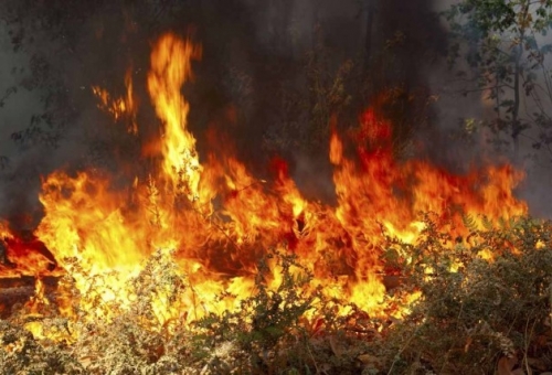 Ανεξέλεγκτη φωτιά σε εξέλιξη στις Κροκεές