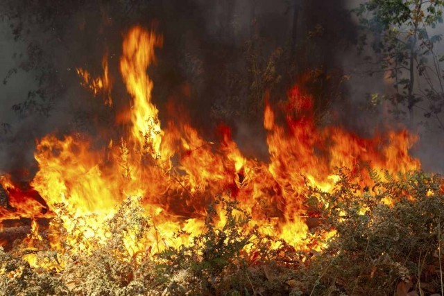 &Alpha;&nu;&epsilon;&xi;έ&lambda;&epsilon;&gamma;&kappa;&tau;&eta; &phi;&omega;&tau;&iota;ά &sigma;&epsilon; &epsilon;&xi;έ&lambda;&iota;&xi;&eta; &sigma;&tau;&iota;&sigmaf; &Kappa;&rho;&omicron;&kappa;&epsilon;έ&sigmaf;