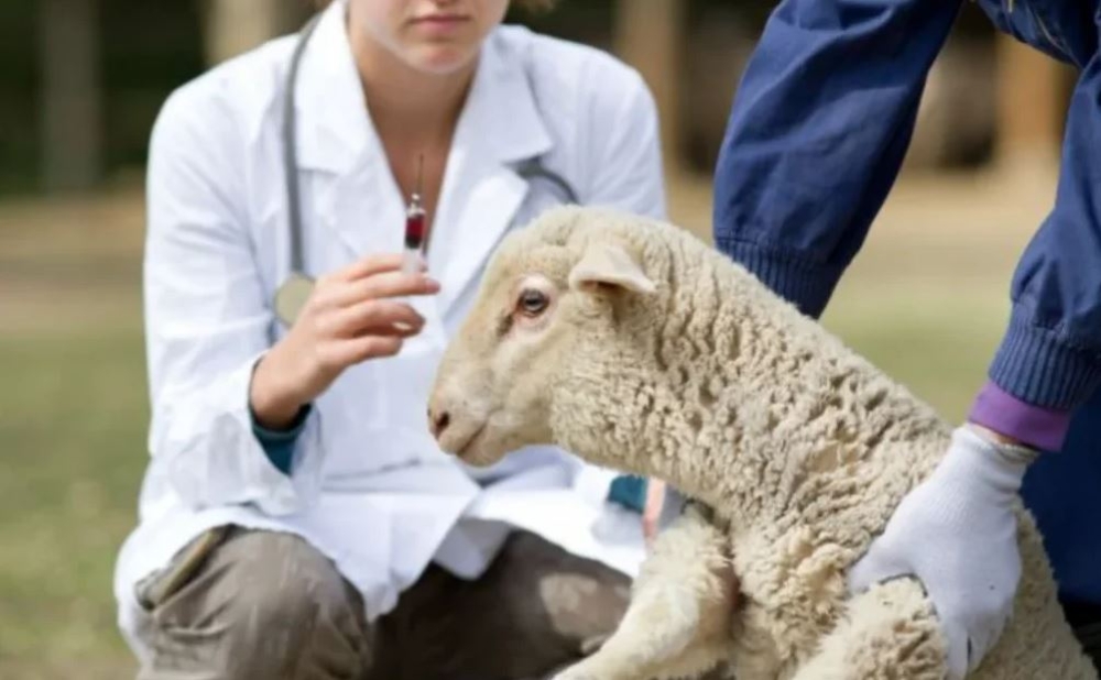 49 &pi;&rho;&omicron;&sigma;&lambda;ή&psi;&epsilon;&iota;&sigmaf; &sigma;&epsilon; &kappa;&tau;&eta;&nu;&iota;&alpha;&tau;&rho;&iota;&kappa;έ&sigmaf; &upsilon;&pi;&eta;&rho;&epsilon;&sigma;ί&epsilon;&sigmaf; &gamma;&iota;&alpha; &tau;&eta;&nu; &epsilon;&upsilon;&lambda;&omicron;&gamma;&iota;ά &tau;&omega;&nu; &alpha;&iota;&gamma;&omicron;&pi;&rho;&omicron;&beta;ά&tau;&omega;&nu;