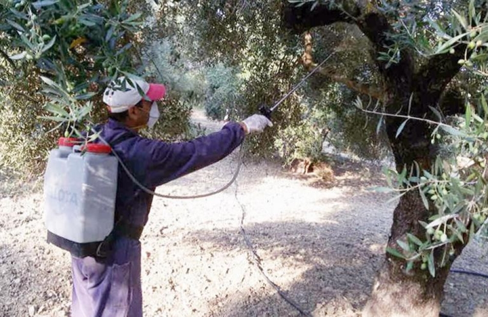 &Alpha;&pi;&omicron;&phi;ά&sigma;&epsilon;&iota;&sigmaf; &tau;&eta;&sigmaf; &Pi;&epsilon;&rho;&iota;&phi;&epsilon;&rho;&epsilon;&iota;&alpha;&kappa;ή&sigmaf; &Epsilon;&pi;&iota;&tau;&rho;&omicron;&pi;ή&sigmaf; &gamma;&iota;&alpha; &tau;&eta; &delta;&alpha;&kappa;&omicron;&kappa;&tau;&omicron;&nu;ί&alpha; &sigma;&tau;&eta; &Lambda;&alpha;&kappa;&omega;&nu;ί&alpha;