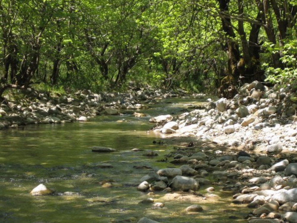 Τα Τριποτάματα