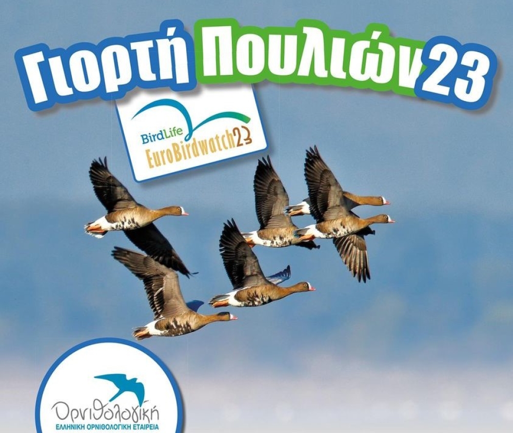 &Sigma;&tau;&eta; &lambda;&iota;&mu;&nu;&omicron;&theta;ά&lambda;&alpha;&sigma;&sigma;&alpha; &Mu;&omicron;&upsilon;&sigma;&tau;&omicron;ύ &gamma;&iota;&omicron;&rho;&tau;ά&zeta;&epsilon;&tau;&alpha;&iota; &eta; &phi;&theta;&iota;&nu;&omicron;&pi;&omega;&rho;&iota;&nu;ή &mu;&epsilon;&tau;&alpha;&nu;ά&sigma;&tau;&epsilon;&upsilon;&sigma;&eta; &pi;&omicron;&upsilon;&lambda;&iota;ώ&nu;