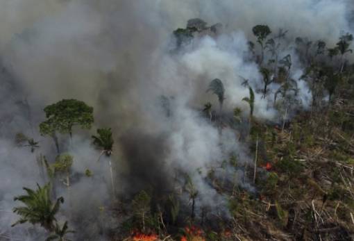 Ρεκόρ πυρκαγιών στον Αμαζόνιο το 2024: Αύξηση στις εκπομπές διοξειδίου του άνθρακα