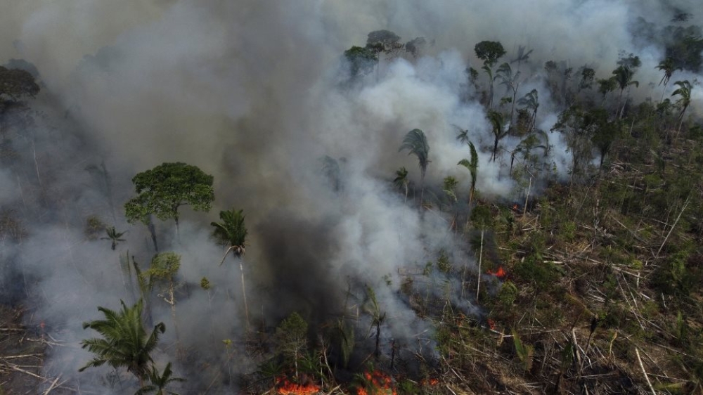 &Rho;&epsilon;&kappa;ό&rho; &pi;&upsilon;&rho;&kappa;&alpha;&gamma;&iota;ώ&nu; &sigma;&tau;&omicron;&nu; &Alpha;&mu;&alpha;&zeta;ό&nu;&iota;&omicron; &tau;&omicron; 2024: &Alpha;ύ&xi;&eta;&sigma;&eta; &sigma;&tau;&iota;&sigmaf; &epsilon;&kappa;&pi;&omicron;&mu;&pi;έ&sigmaf; &delta;&iota;&omicron;&xi;&epsilon;&iota;&delta;ί&omicron;&upsilon; &tau;&omicron;&upsilon; ά&nu;&theta;&rho;&alpha;&kappa;&alpha;