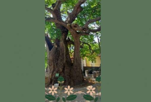 Παραμονή Πρωτομαγιάς στην Άρνα