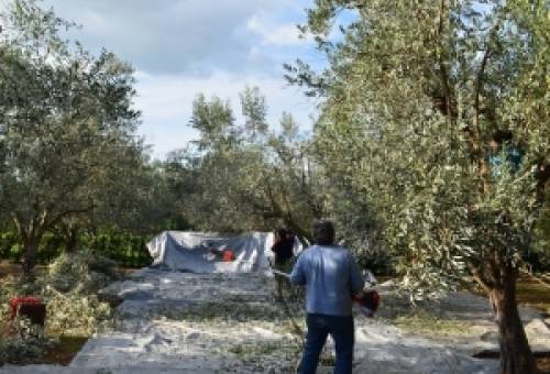 Συσκέπτονται και παίρνουν τις αποφάσεις του οι αγροτοκτηνοτρόφοι του Δ. Ευρώτα