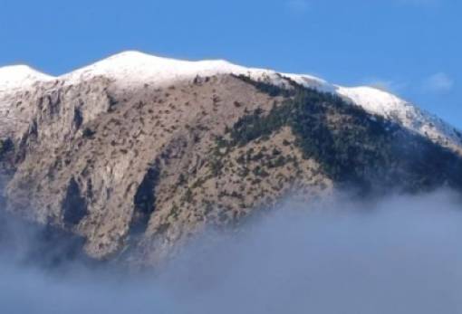 Στα 1.760 μέτρα του Πάρνωνα κόβει την πίτα του ο ΕΟΣ Σπάρτης