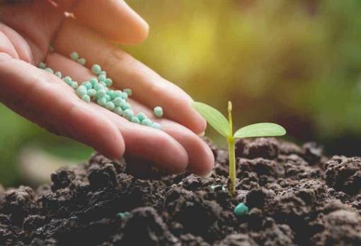 Λιπάσματα: Ανησυχίες για το κόστος παραγωγής