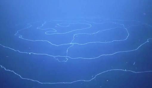 &Upsilon;&pi;&omicron;&beta;&rho;ύ&chi;&iota;&omicron; &rho;&omicron;&mu;&pi;ό&tau; &alpha;&nu;&alpha;&kappa;ά&lambda;&upsilon;&psi;&epsilon; &tau;&omicron; &mu;&alpha;&kappa;&rho;ύ&tau;&epsilon;&rho;&omicron; &zeta;ώ&omicron; &tau;&omicron;&upsilon; &kappa;ό&sigma;&mu;&omicron;&upsilon;, &mu;ή&kappa;&omicron;&upsilon;&sigmaf; 45 &mu;έ&tau;&rho;&omega;&nu;