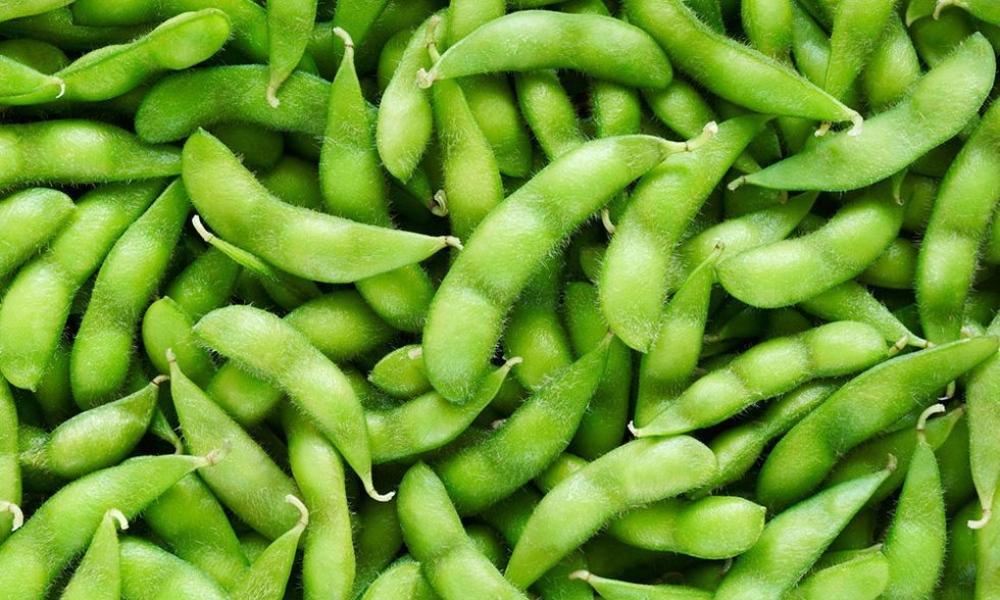 &Sigma;ό&gamma;&iota;&alpha;: &Mu;&pi;&alpha;ί&nu;&epsilon;&iota; &sigma;&tau;&iota;&sigmaf; &Sigma;&upsilon;&nu;&delta;&epsilon;&delta;&epsilon;&mu;έ&nu;&epsilon;&sigmaf; &alpha;&pi;ό &tau;&omicron; 2025