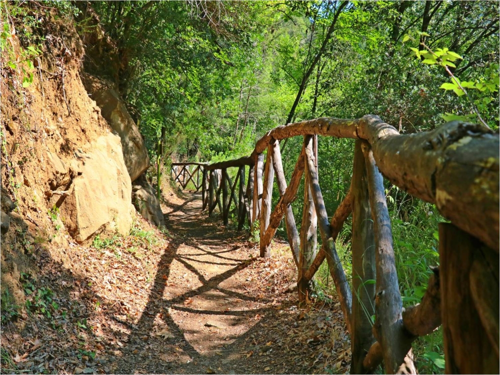 &Sigma;&tau;&omicron; &Tau;&alpha;&mu;&epsilon;ί&omicron; &Alpha;&nu;ά&kappa;&alpha;&mu;&psi;&eta;&sigmaf; &epsilon;&nu;&tau;ά&sigma;&sigma;&omicron;&nu;&tau;&alpha;&iota; 107 &pi;&rho;&omicron;&tau;ά&sigma;&epsilon;&iota;&sigmaf; &gamma;&iota;&alpha; &tau;&eta; &delta;&eta;&mu;&iota;&omicron;&upsilon;&rho;&gamma;ί&alpha; &mu;&omicron;&nu;&omicron;&pi;&alpha;&tau;&iota;ώ&nu;