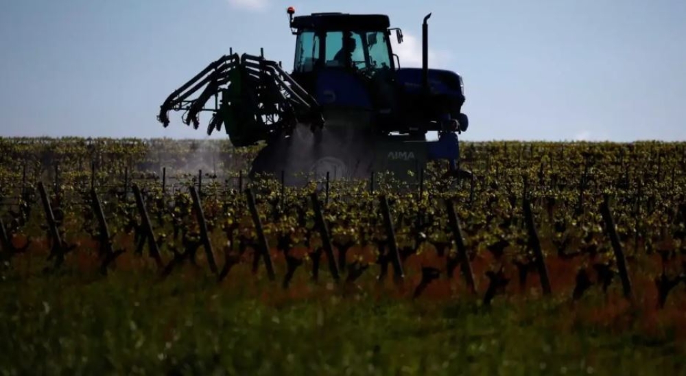 &Epsilon;&upsilon;&rho;&omega;&pi;&alpha;ϊ&kappa;ό &tau;&alpha;&mu;&epsilon;ί&omicron; &gamma;&iota;&alpha; &phi;&upsilon;&sigma;&iota;&kappa;έ&sigmaf; &kappa;&alpha;&tau;&alpha;&sigma;&tau;&rho;&omicron;&phi;έ&sigmaf;: &Sigma;&tau;ή&rho;&iota;&xi;&eta; &tau;&eta;&sigmaf; &gamma;&epsilon;&omega;&rho;&gamma;ί&alpha;&sigmaf; &sigma;&epsilon; &kappa;&alpha;&iota;&rho;&omicron;ύ&sigmaf; &alpha;&beta;&epsilon;&beta;&alpha;&iota;ό&tau;&eta;&tau;&alpha;&sigmaf;