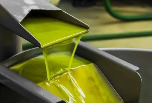 Νέες συμφωνίες για πώληση λαδιού στη Λακωνία