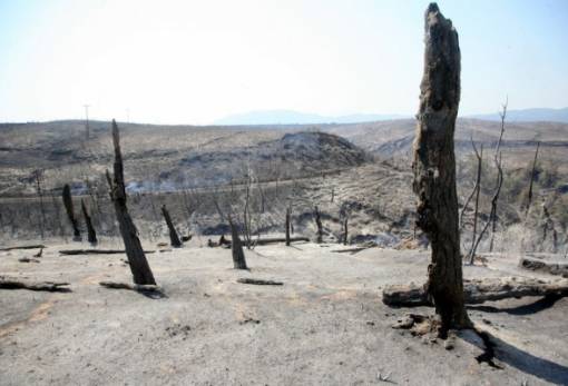 Στο 1/10 οι φετινές καμένες  εκτάσεις σε σχέση με πέρυσι