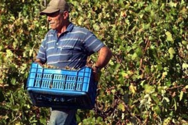 &Alpha;&kappa;&rho;ό&alpha;&sigma;&eta; &alpha;&pi;ό &tau;&omicron;&upsilon;&sigmaf; &Delta;ή&mu;&omicron;&upsilon;&sigmaf; &zeta;&eta;&tau;&omicron;ύ&nu; &omicron;&iota; &Lambda;ά&kappa;&omega;&nu;&epsilon;&sigmaf; &beta;&iota;&omicron;&kappa;&alpha;&lambda;&lambda;&iota;&epsilon;&rho;&gamma;&eta;&tau;έ&sigmaf;