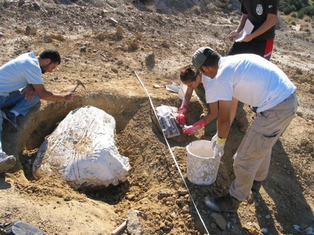 45 &theta;έ&sigma;&epsilon;&iota;&sigmaf; &epsilon;&rho;&gamma;&alpha;&sigma;ί&alpha;&sigmaf; &sigma;&tau;&eta;&nu; &Epsilon;&phi;&omicron;&rho;&epsilon;ί&alpha; &Alpha;&rho;&chi;&alpha;&iota;&omicron;&tau;ή&tau;&omega;&nu; &Lambda;&alpha;&kappa;&omega;&nu;ί&alpha;&sigmaf;