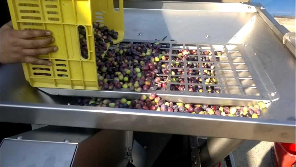 &Eta;&mu;&epsilon;&rho;ί&delta;&alpha; &sigma;&tau;&omicron; &Gamma;ύ&theta;&epsilon;&iota;&omicron;: &laquo;&Eta; &psi;&eta;&phi;&iota;&alpha;&kappa;ή &delta;&iota;&alpha;&kappa;ί&nu;&eta;&sigma;&eta; &sigma;&tau;&omicron; &epsilon;&lambda;&alpha;&iota;&omicron;&tau;&rho;&iota;&beta;&epsilon;ί&omicron; &mu;&epsilon;&tau;ά &tau;&eta;&nu; 1&eta; &phi;ά&sigma;&eta;&raquo;