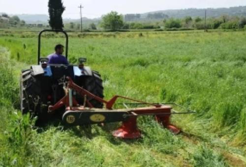 Επιπλέον 85 εκατ. ευρώ για τους αγρότες διεκδικεί το Ευρωκοινοβούλιο