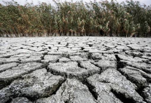 Ξηρασία: Οι περιοχές της Ελλάδας που πλήττονται περισσότερο