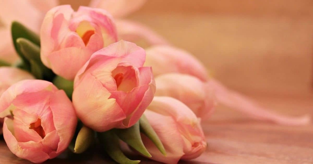 &Sigma;ύ&nu;&alpha;&xi;&eta; &gamma;&omicron;&nu;έ&omega;&nu; &tau;&eta;&sigmaf; &Epsilon;&nu;&omicron;&rho;ί&alpha;&sigmaf; &Alpha;&gamma;. &Sigma;&pi;&upsilon;&rho;ί&delta;&omega;&nu;&omicron;&sigmaf; &Sigma;&pi;ά&rho;&tau;&eta;&sigmaf;