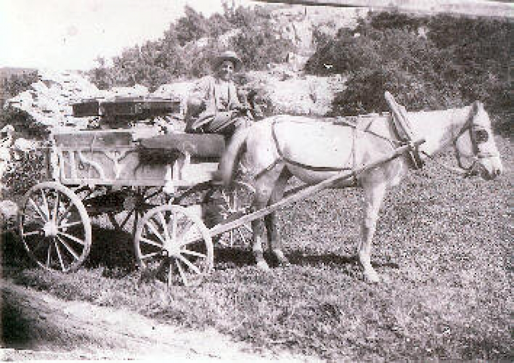 Ο θυμωμένος αγωγιάτης ή Το πουλί της αλήθειας