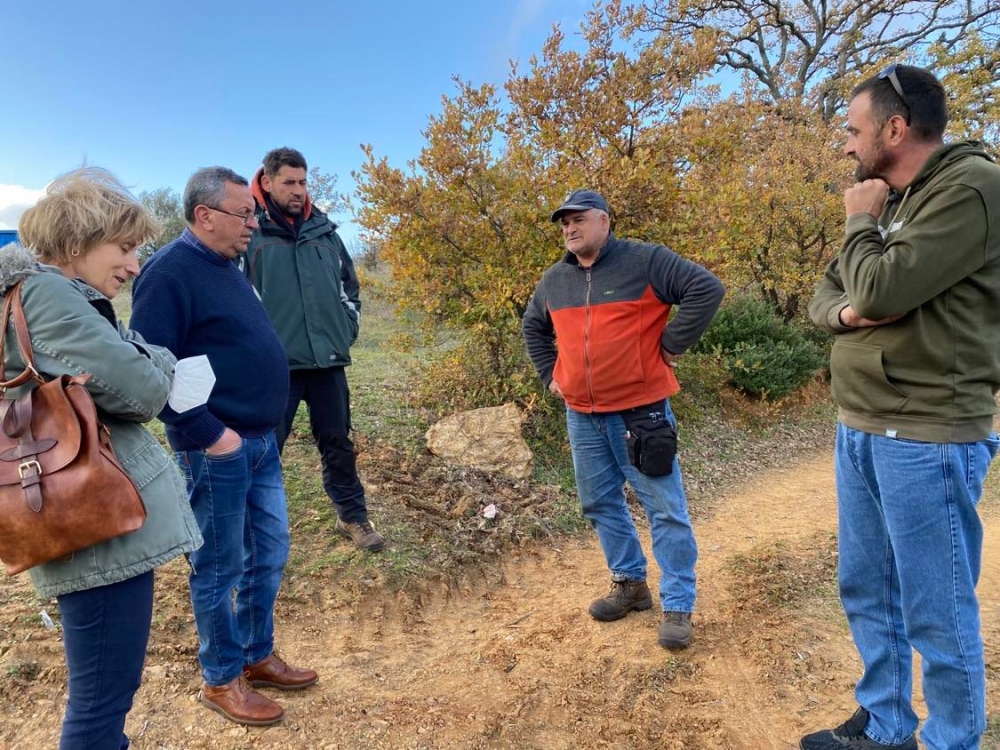 &Kappa;&alpha;&tau;έ&delta;&epsilon;&iota;&xi;&epsilon; &tau;&omicron; &pi;&lambda;ή&gamma;&mu;&alpha; &sigma;&tau;&iota;&sigmaf; &epsilon;&lambda;&iota;έ&sigmaf; &eta; &alpha;&upsilon;&tau;&omicron;&psi;ί&alpha; &sigma;&tau;&omicron;&nu; &Delta;. &Epsilon;&upsilon;&rho;ώ&tau;&alpha;