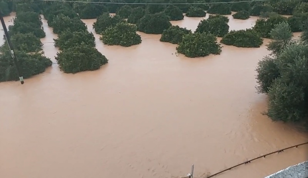 Στο έλεος της κακοκαιρίας και πάλι ο Δ. Ευρώτα (ΦΩΤΟ)
