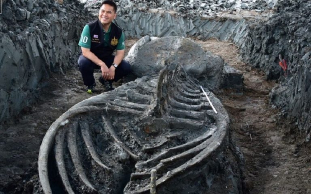 &laquo;&Pi;&alpha;&rho;ά&theta;&upsilon;&rho;&omicron; &sigma;&tau;&omicron; &pi;&alpha;&rho;&epsilon;&lambda;&theta;ό&nu;&raquo; &omicron; &sigma;&kappa;&epsilon;&lambda;&epsilon;&tau;ό&sigmaf; &phi;ά&lambda;&alpha;&iota;&nu;&alpha;&sigmaf; 5.000 &epsilon;&tau;ώ&nu; &sigma;&tau;&eta;&nu; &Tau;&alpha;ϊ&lambda;ά&nu;&delta;&eta;