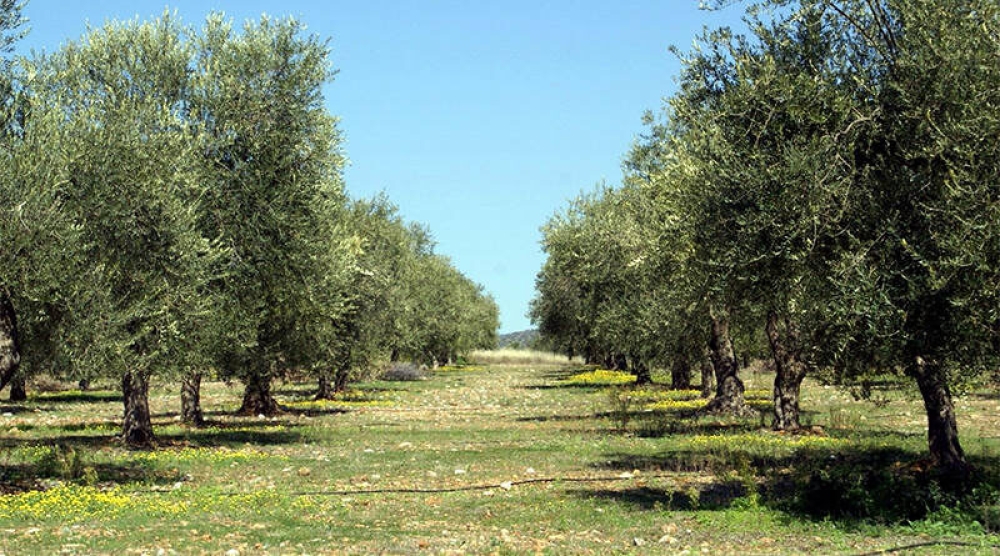 &Upsilon;&pi;&omicron;&beta;&omicron;&lambda;ή &delta;&eta;&lambda;ώ&sigma;&epsilon;&omega;&nu; &Epsilon;&iota;&delta;&iota;&kappa;ή&sigmaf; &Alpha;&sigma;&phi;&alpha;&lambda;&iota;&sigma;&tau;&iota;&kappa;ή&sigmaf; &Epsilon;&iota;&sigma;&phi;&omicron;&rho;ά&sigmaf; &Delta;&alpha;&kappa;&omicron;&kappa;&tau;&omicron;&nu;ί&alpha;&sigmaf;