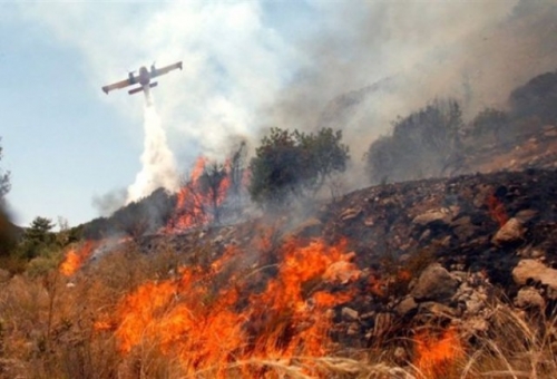 Στάχτη πάνω από 55 στρεμ. στην Ανατολική Μάνη