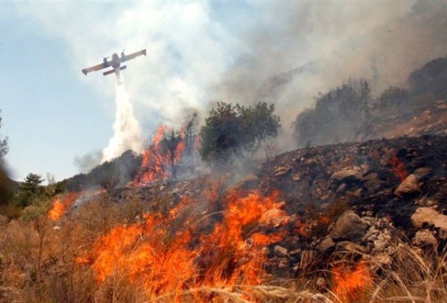 &Sigma;&tau;ά&chi;&tau;&eta; &pi;ά&nu;&omega; &alpha;&pi;ό 55 &sigma;&tau;&rho;&epsilon;&mu;. &sigma;&tau;&eta;&nu; &Alpha;&nu;&alpha;&tau;&omicron;&lambda;&iota;&kappa;ή &Mu;ά&nu;&eta;