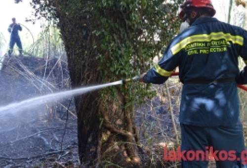 Για 3η φορά φωτιά πλησίον του Ευρώτα στη Σπάρτη