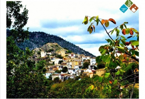  Γιορτή του Δάσους στην Καστάνιτσα