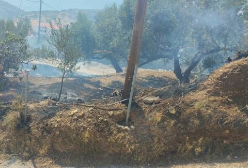 Υποβολή αιτήσεων για αποζημιώσεις από την πρόσφατη φωτιά στο Λάχι