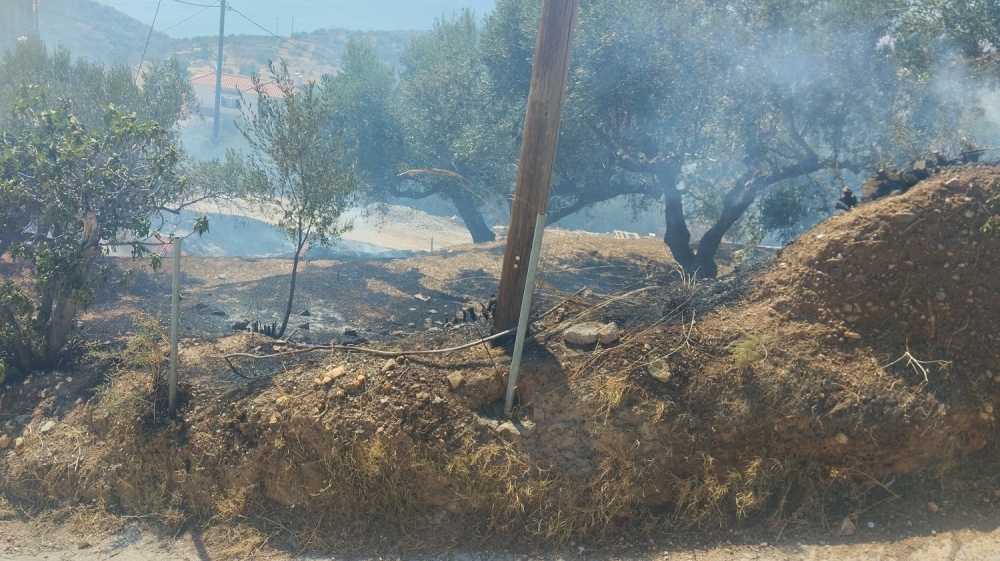 &Upsilon;&pi;&omicron;&beta;&omicron;&lambda;ή &alpha;&iota;&tau;ή&sigma;&epsilon;&omega;&nu; &gamma;&iota;&alpha; &alpha;&pi;&omicron;&zeta;&eta;&mu;&iota;ώ&sigma;&epsilon;&iota;&sigmaf; &alpha;&pi;ό &tau;&eta;&nu; &pi;&rho;ό&sigma;&phi;&alpha;&tau;&eta; &phi;&omega;&tau;&iota;ά &sigma;&tau;&omicron; &Lambda;ά&chi;&iota;