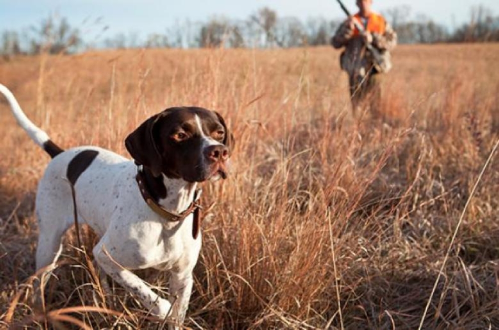 &Kappa;&alpha;&tau;&eta;&gamma;&omicron;&rho;&eta;&mu;&alpha;&tau;&iota;&kappa;ά &alpha;&nu;&tau;ί&theta;&epsilon;&tau;&omicron;&sigmaf; &sigma;&tau;&omicron;&nu; &Nu;ό&mu;&omicron; &laquo;Ά&rho;&gamma;&omicron;&sigmaf;&raquo; &omicron; &Kappa;&upsilon;&nu;&eta;&gamma;&epsilon;&tau;&iota;&kappa;ό&sigmaf; &Sigma;ύ&lambda;&lambda;&omicron;&gamma;&omicron;&sigmaf; &Mu;&omicron;&lambda;ά&omega;&nu;