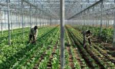 &Kappa;&alpha;&theta;&omicron;&rho;ί&sigma;&theta;&eta;&kappa;&epsilon; &omicron; &alpha;&nu;ώ&tau;&alpha;&tau;&omicron;&sigmaf; &alpha;&rho;&iota;&theta;&mu;ό&sigmaf; &epsilon;&rho;&gamma;&alpha;&tau;ώ&nu; &gamma;&eta;&sigmaf; &alpha;&nu;ά &kappa;&alpha;&lambda;&lambda;&iota;έ&rho;&gamma;&epsilon;&iota;&alpha; &kappa;&alpha;&iota; &tau;&omicron;&mu;έ&alpha; &alpha;&pi;ό &Tau;&rho;ί&tau;&epsilon;&sigmaf; &Chi;ώ&rho;&epsilon;&sigmaf; &gamma;&iota;&alpha; &tau;&omicron; 2026