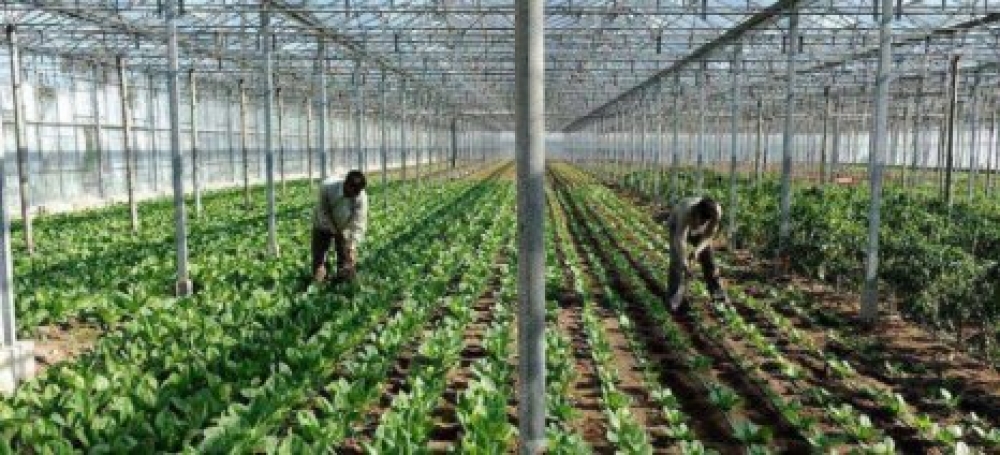 &Kappa;&alpha;&theta;&omicron;&rho;ί&sigma;&theta;&eta;&kappa;&epsilon; &omicron; &alpha;&nu;ώ&tau;&alpha;&tau;&omicron;&sigmaf; &alpha;&rho;&iota;&theta;&mu;ό&sigmaf; &epsilon;&rho;&gamma;&alpha;&tau;ώ&nu; &gamma;&eta;&sigmaf; &alpha;&nu;ά &kappa;&alpha;&lambda;&lambda;&iota;έ&rho;&gamma;&epsilon;&iota;&alpha; &kappa;&alpha;&iota; &tau;&omicron;&mu;έ&alpha; &alpha;&pi;ό &Tau;&rho;ί&tau;&epsilon;&sigmaf; &Chi;ώ&rho;&epsilon;&sigmaf; &gamma;&iota;&alpha; &tau;&omicron; 2026