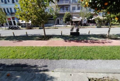 Η ταλαιπωρία της Παλαιολόγου