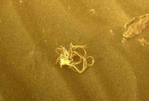 Η NASA βρήκε… σπαγγέτι στον Άρη