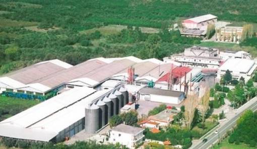 &Sigma;&tau;&eta; &Beta;&omicron;&upsilon;&lambda;ή &kappa;&alpha;&iota; &sigma;&tau;&omicron; &Upsilon;&pi;&Alpha;&Alpha;&Tau; &tau;&omicron; &theta;&rho;ί&lambda;&epsilon;&rho; &tau;&omicron;&upsilon; &laquo;&Lambda;&alpha;&kappa;&omega;&nu;ί&alpha;&raquo;