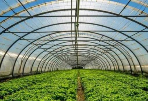 Ενίσχυση θερμοκηπιακών καλλιεργειών: Πρόγραμμα 150 εκατ. ευρώ σε εφαρμογή