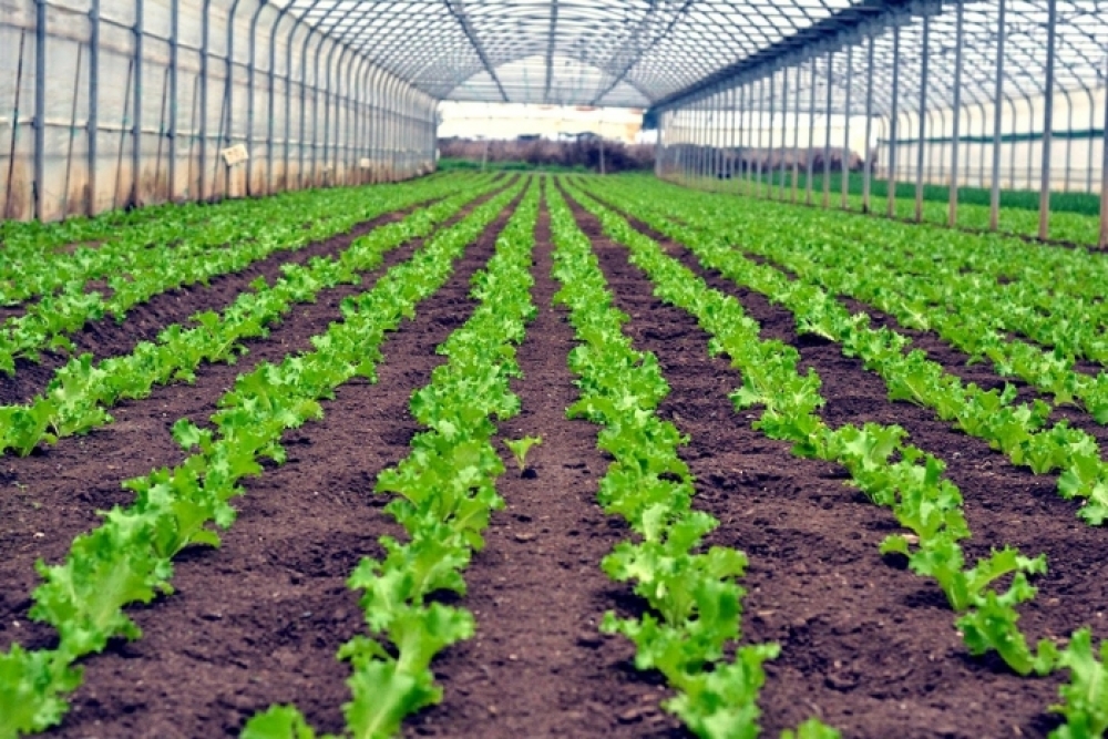 &Pi;&alpha;&rho;ά&tau;&alpha;&sigma;&eta; &sigma;&tau;&eta;&nu; &upsilon;&pi;&omicron;&beta;&omicron;&lambda;ή &alpha;&iota;&tau;ή&sigma;&epsilon;&omega;&nu; &gamma;&iota;&alpha; &epsilon;&pi;&epsilon;&nu;&delta;ύ&sigma;&epsilon;&iota;&sigmaf; &sigma;&tau;&alpha; &theta;&epsilon;&rho;&mu;&omicron;&kappa;ή&pi;&iota;&alpha;