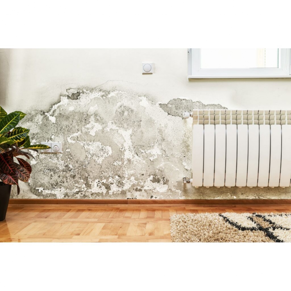 &Mu;&omicron;ύ&chi;&lambda;&alpha; &sigma;&epsilon; &xi;ύ&lambda;&omicron;, &tau;&omicron;ί&chi;&omicron; ή &tau;&alpha;&beta;ά&nu;&iota;; &Epsilon;&xi;&alpha;&phi;ά&nu;&iota;&sigma;έ &tau;&eta; &tau;ώ&rho;&alpha;