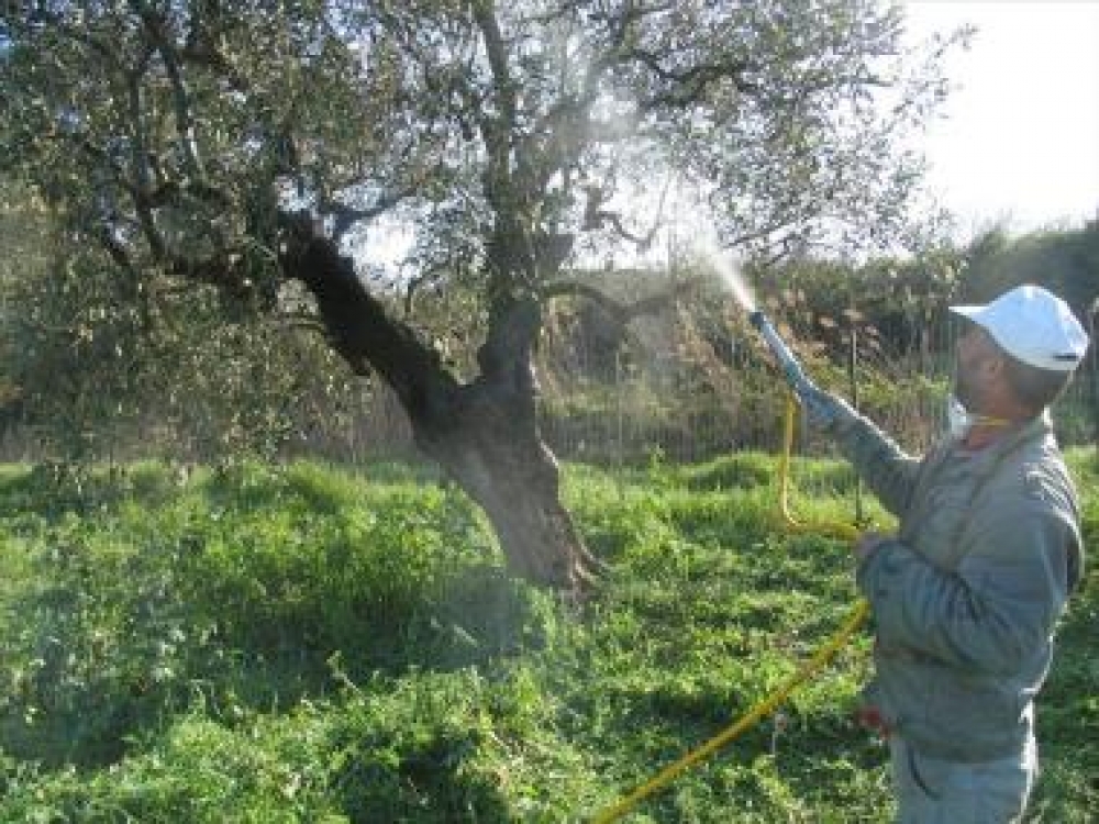 &Pi;&rho;ό&sigma;&lambda;&eta;&psi;&eta; &pi;&rho;&omicron;&sigma;&omega;&pi;&iota;&kappa;&omicron;ύ &gamma;&iota;&alpha; &tau;&eta;&nu; &kappa;&alpha;&tau;&alpha;&pi;&omicron;&lambda;έ&mu;&eta;&sigma;&eta; &tau;&omicron;&upsilon; &delta;ά&kappa;&omicron;&upsilon; &sigma;&tau;&eta; &Lambda;&alpha;&kappa;&omega;&nu;ί&alpha;